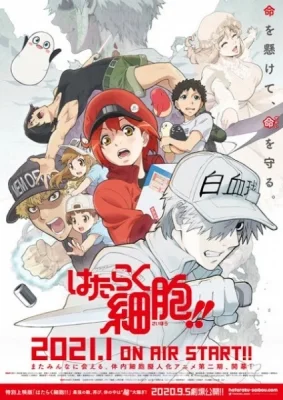 Season 2
