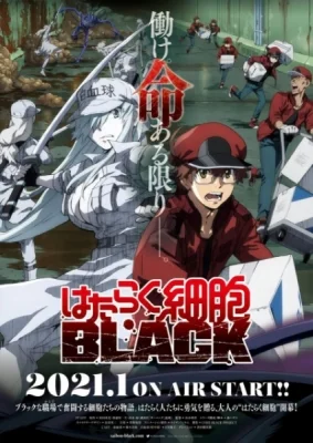 Code Black
